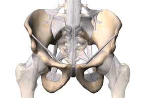 pelvis DCS y DHS